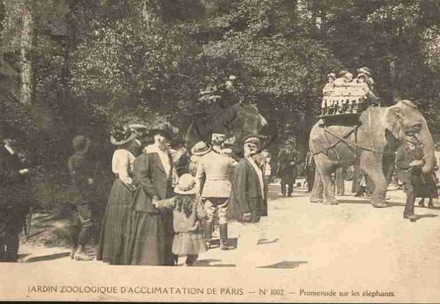 image_4.flvcrop.1200.5000